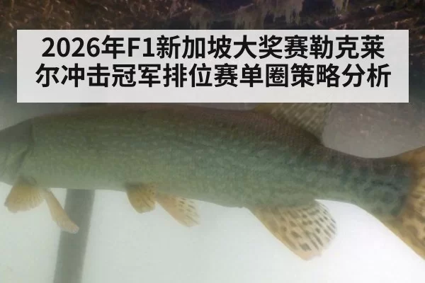 2026年F1新加坡大奖赛勒克莱尔冲击冠军排位赛单圈策略分析