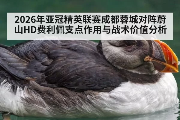 2026年亚冠精英联赛成都蓉城对阵蔚山HD费利佩支点作用与战术价值分析